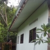 new-guttering-on-the-side-of-the-house.jpg new-guttering-on-the-side-of-the-house.jpg